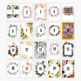 New Entrant Teaching Planner 2026