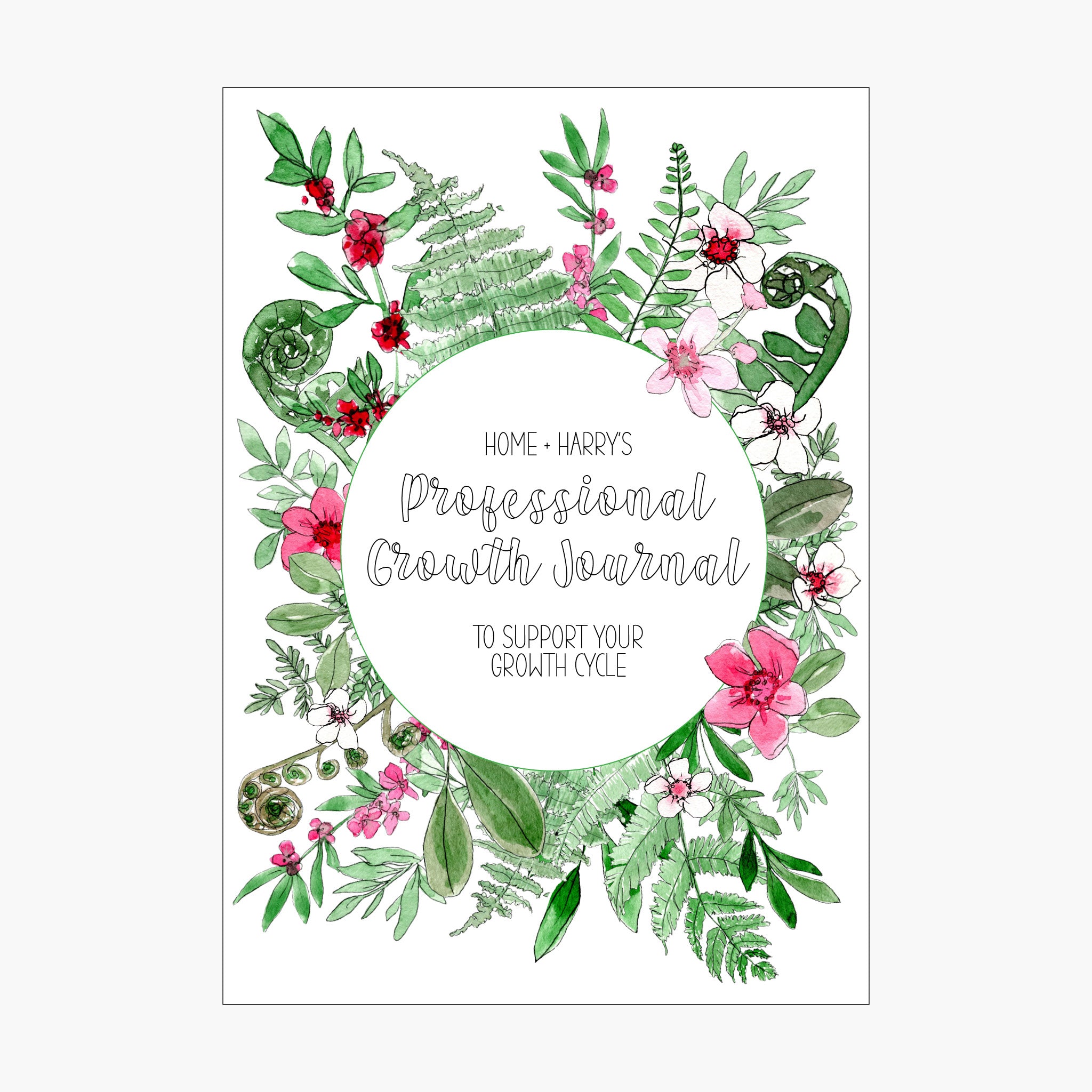 Professional Growth Journal – Home & Harry NZ